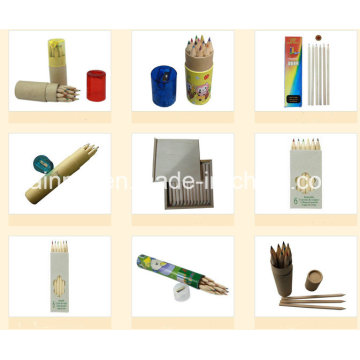 Wooden Pencil in Round Paper Tube Packing
